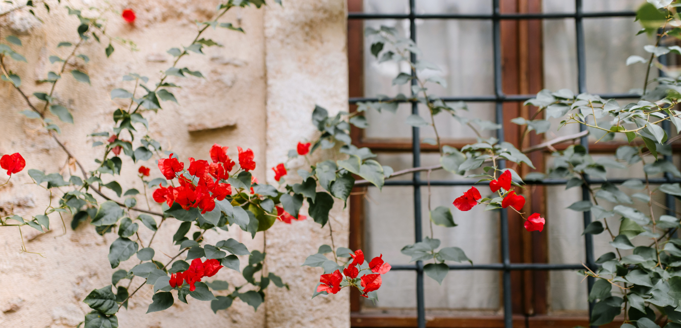 Comment embellir un climatiseur ?